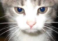 DSCN6126.JPG