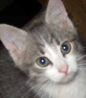 DSCN6130.JPG