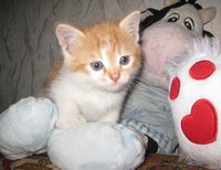 IMG_0800.JPG