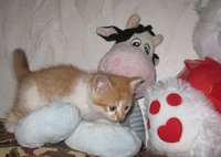 IMG_0801.JPG