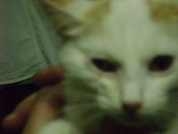 DSC06235.JPG