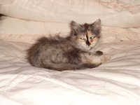 DSC04447.JPG