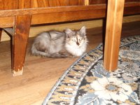 DSC04450.JPG