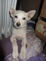 IMG_0992.jpg