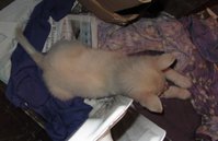 IMG_1002.jpg