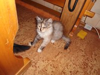 DSC04461.JPG