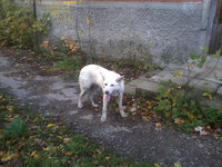 2012-10-12%2008.46.48.jpg