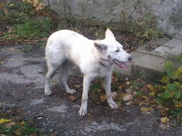 2012-10-12%2008.46.50.jpg