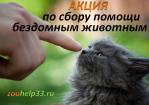 Акция по сбору помощи.jpg