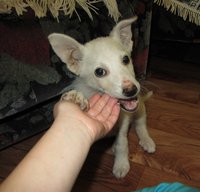 IMG_1104.jpg