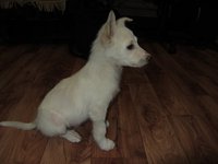 IMG_1123.jpg