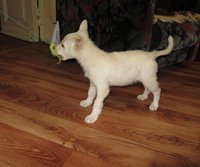 IMG_1135.jpg