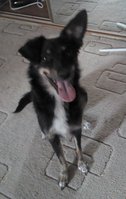IMG_20121015_092305.jpg