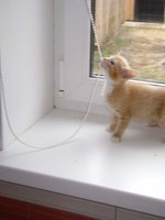 DSC00094.jpg