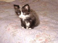 DSC00034.jpg