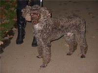390877dfb0d2.jpg
