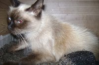 DSC00734.JPG