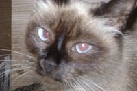 DSC00735.JPG