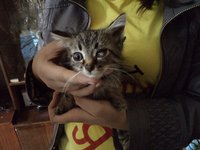DSC00222.JPG