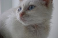 DSC00745.JPG