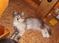 DSC04460.JPG