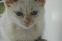 DSC00747.JPG