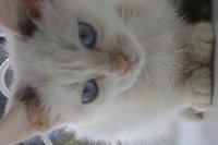 DSC00748.JPG