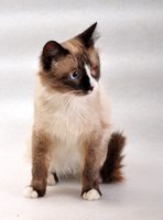 DSC_0668_новый размер.JPG