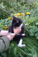 20121020210846_IMAG0290.jpg