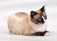 DSC_0669_новый размер.JPG