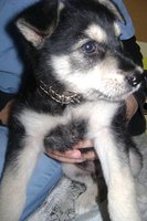 DSC00754.JPG
