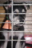 DSC00758.JPG