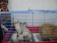 DSC06404.JPG