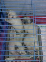DSC06407.JPG