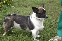 DSC00755.JPG