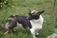 DSC00756.JPG