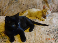 20121024151258_DSC00347.JPG